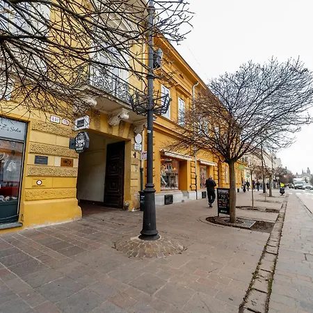 Center Premium With Private Garage Parking Koszyce